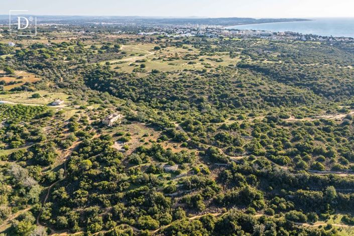 Image No.5-Terre à vendre à Porches