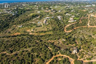 1-12354-a6143ebb3cb0547d86cbab874af8e5c603a53