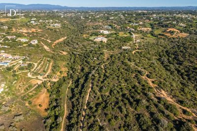 1-12354-a6143ebb3cb0547d86cbab874af8e5c603a53