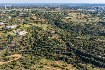 1-12354-a6143ebb3cb0547d86cbab874af8e5c603a53