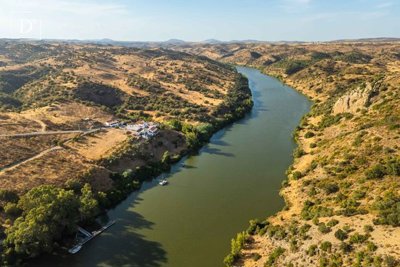 1-12277-a6143ebb3cb0547d86cbab874af8e5c603a53