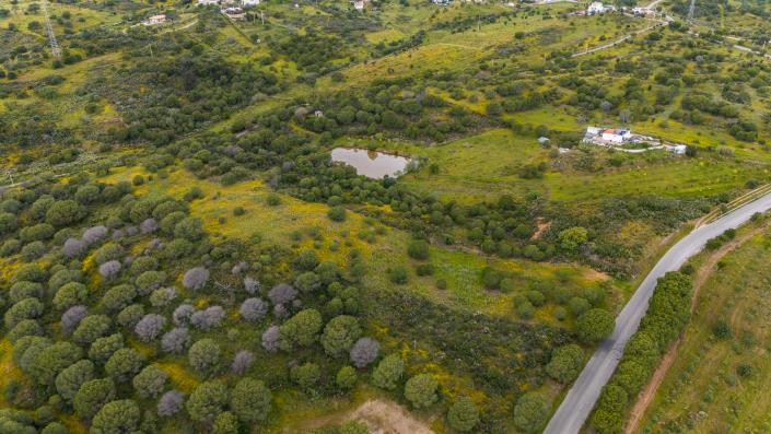 Image No.2-Terre à vendre à Vila Nova de Cacela