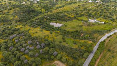 DJI_20250417112503_0020_D