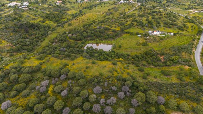 Image No.3-Terre à vendre à Vila Nova de Cacela