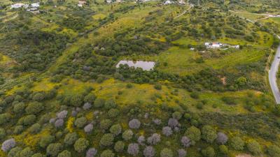 DJI_20250417112525_0021_D