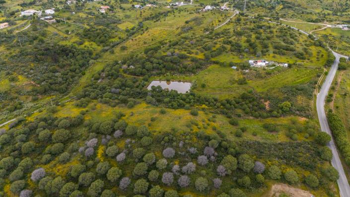 Image No.4-Terre à vendre à Vila Nova de Cacela