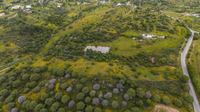 DJI_20250417112542_0022_D