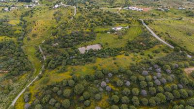 DJI_20250417112611_0023_D