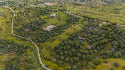 DJI_20250417112637_0024_D