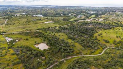 DJI_20250417112748_0027_D