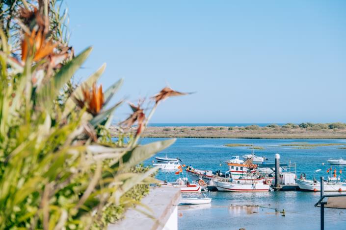 Image No.4-Bar à vendre à Cabanas de Tavira