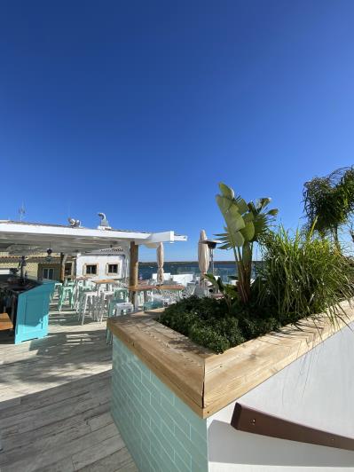 Image No.17-Bar à vendre à Cabanas de Tavira