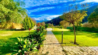 WhatsApp-Image-2021-12-17-at-21-02-12--19-