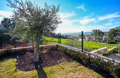 Modern-Villas-with-Lake-Views--4-