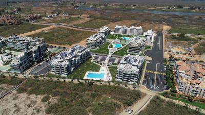 CAMALEONES-CONJUNTO-1