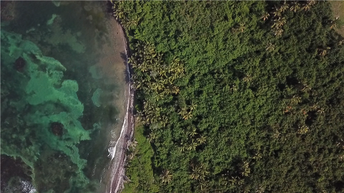 Image No.2-Commercial for sale