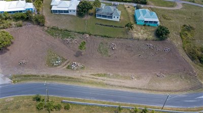 1 - Nevis, Commercial