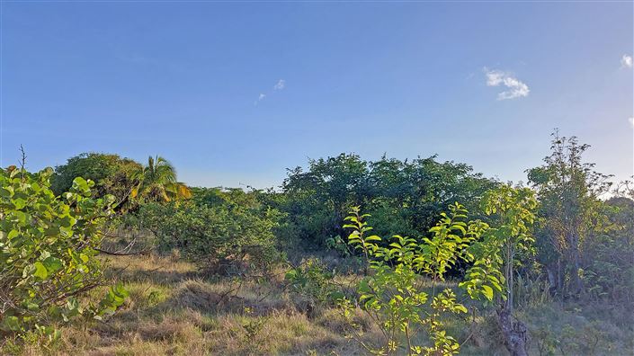 Image No.4-Land for sale