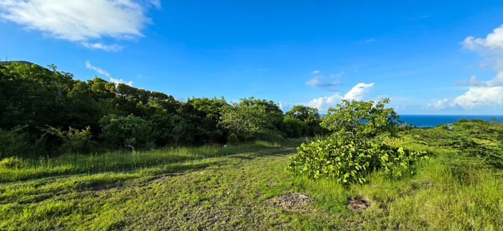 Image No.3-Land for sale