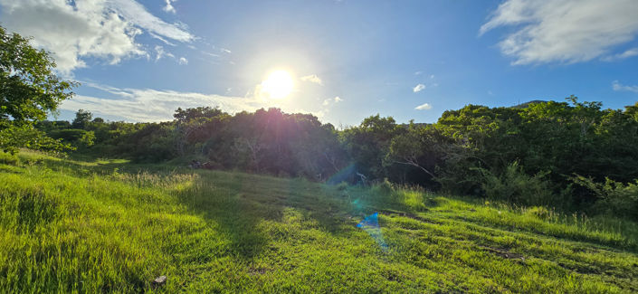 Image No.4-Land for sale