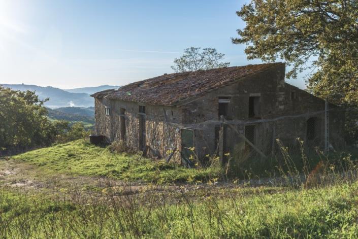 Image No.13-Ferme à vendre à Volterra