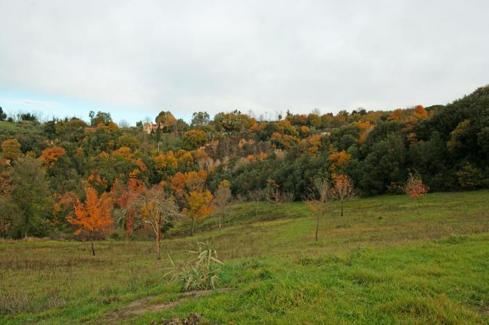 Image No.5-Ferme à vendre à Peccioli