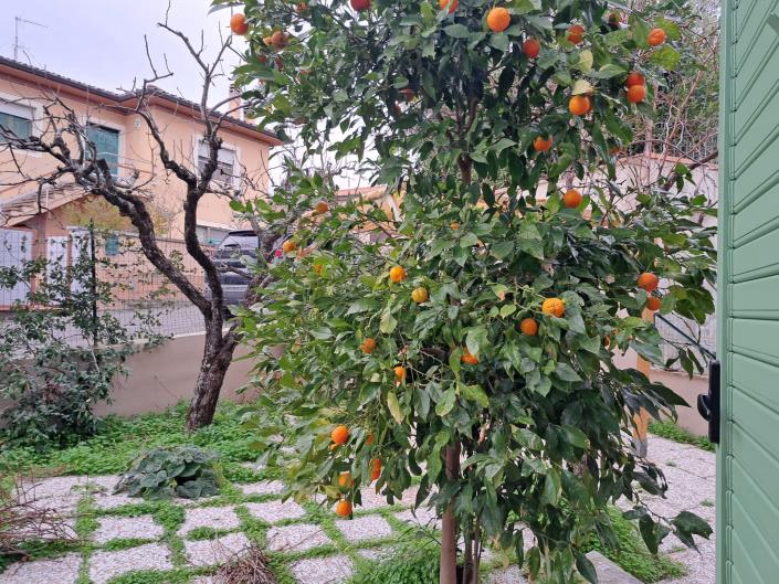 Image No.34-Maison / Villa de 6 chambres à vendre à Lajatico