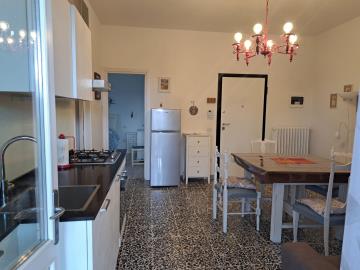 ed724b19-08f4-4da9-843a-f443228de500