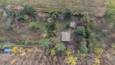 Immagine-WhatsApp-2023-10-30-ore-08-01-08_f86498fc