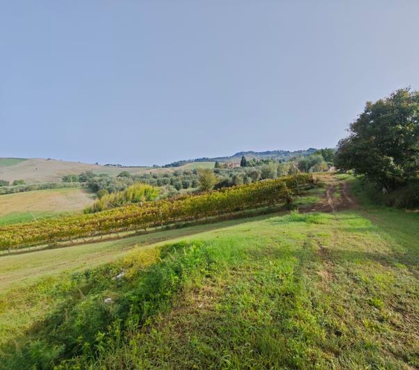 Image No.6-Appartement de 3 chambres à vendre à Volterra