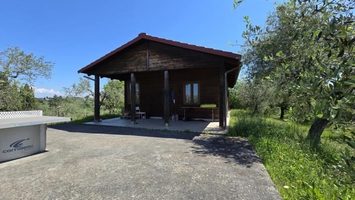 Image No.4-Ferme de 2 chambres à vendre à Palaia