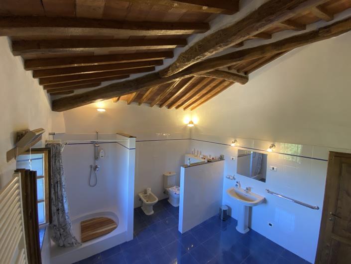 Image No.28-Ferme de 7 chambres à vendre à Castelnuovo di Val di Cecina