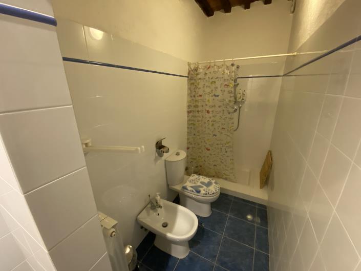 Image No.35-Ferme de 7 chambres à vendre à Castelnuovo di Val di Cecina