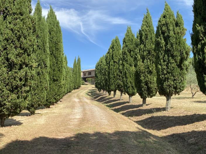 Image No.2-Ferme de 5 chambres à vendre à Castelnuovo di Val di Cecina