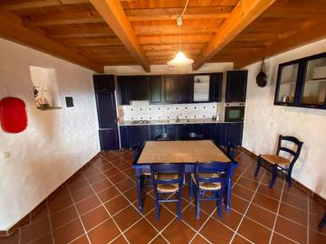 mini_WhatsApp-Image-2023-03-09-at-08-19-20--1-