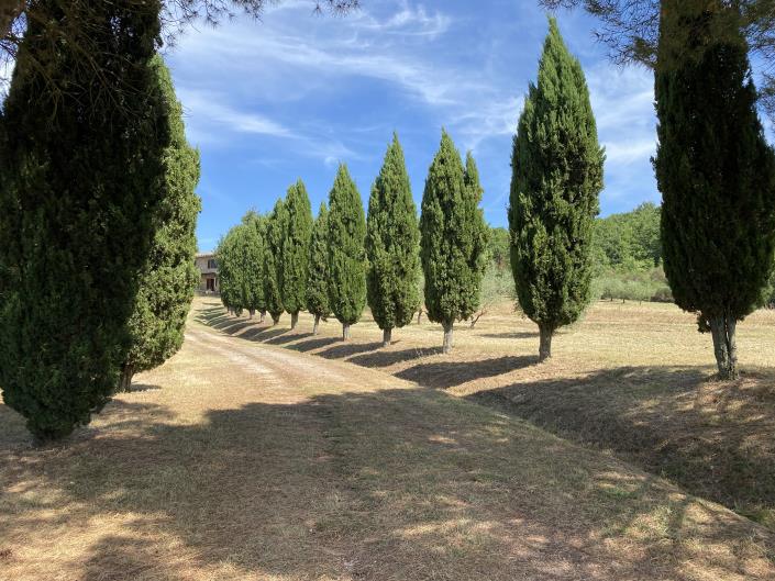 Image No.30-Ferme de 5 chambres à vendre à Castelnuovo di Val di Cecina