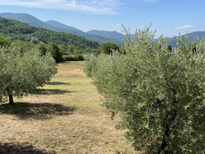 Image No.33-Ferme de 5 chambres à vendre à Castelnuovo di Val di Cecina