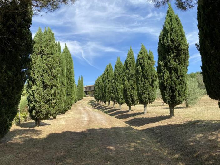 Image No.34-Ferme de 5 chambres à vendre à Castelnuovo di Val di Cecina
