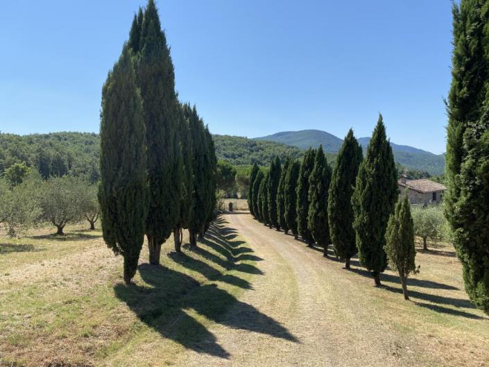 Image No.35-Ferme de 5 chambres à vendre à Castelnuovo di Val di Cecina