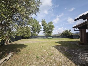 Immagine-WhatsApp-2025-05-19-ore-11-38-43_27b31b56