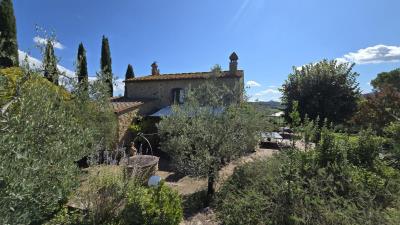 mini_20250915_115507