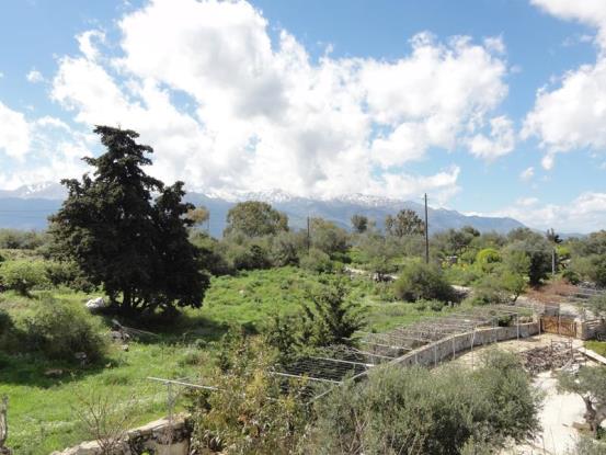 Image No.19-Maison / Villa de 4 chambres à vendre à Sellia