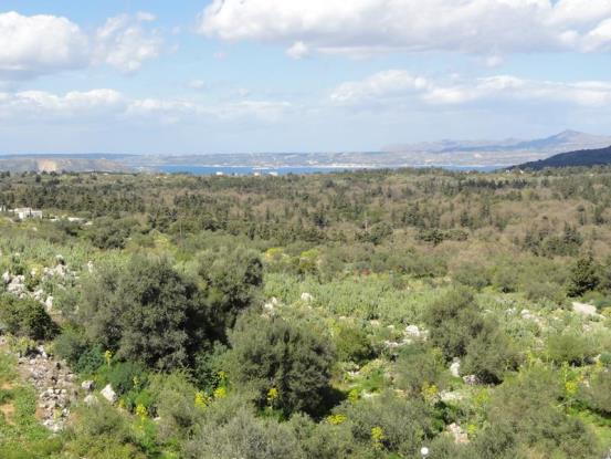 Image No.18-Maison / Villa de 4 chambres à vendre à Sellia