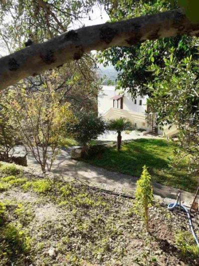 Image No.3-Plot for sale