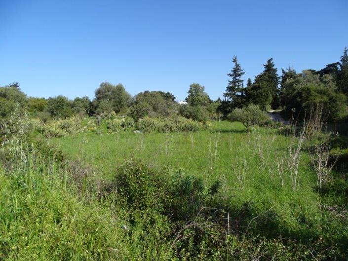 Image No.2-Plot for sale