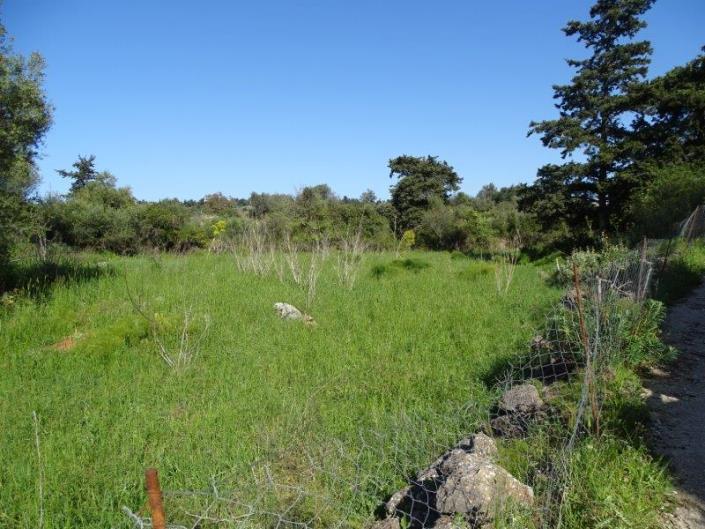 Image No.5-Plot for sale