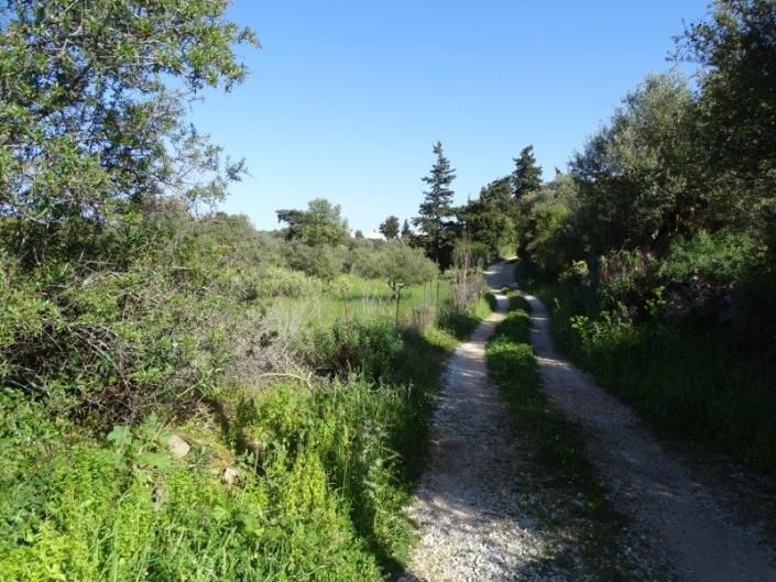 Image No.4-Plot for sale