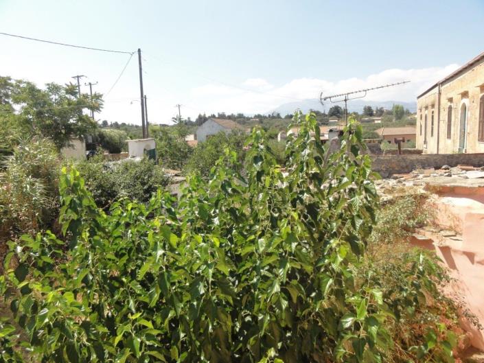 Image No.34-Maison / Villa de 3 chambres à vendre à Xirosterni