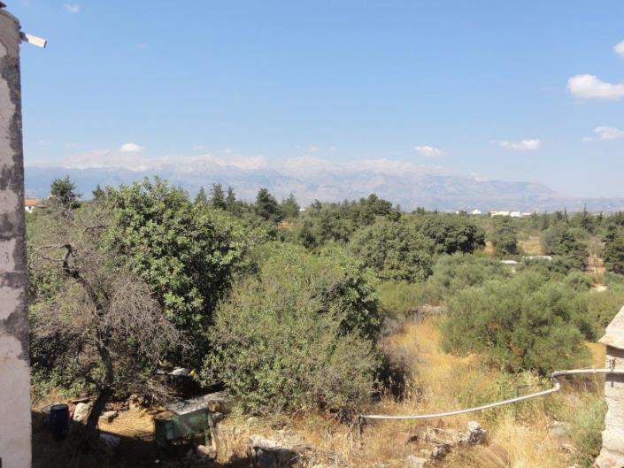 Image No.39-Maison / Villa de 3 chambres à vendre à Xirosterni