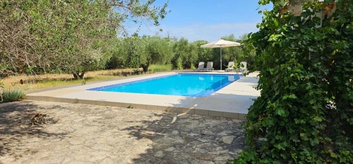 Image No.2-Villa / Détaché de 3 chambres à vendre à Vamos